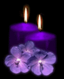 candle Pictures, Images and Photos