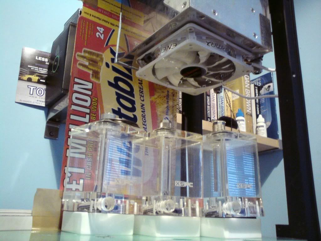 DSC01133.jpg
