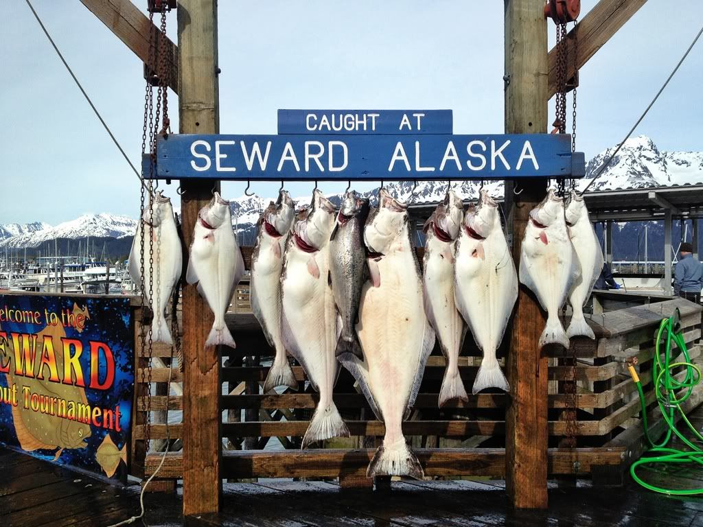 Uploaded from the Photobucket iPhone App
