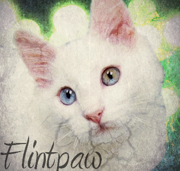 Flintpaw Avatar