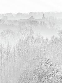Fotografie