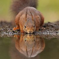 Fotografie