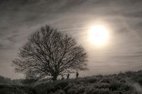 Fotografie