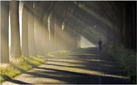Fotografie