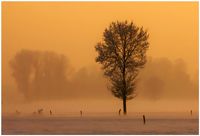 Fotografie