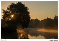 Fotografie