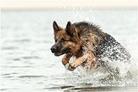 Fotografie