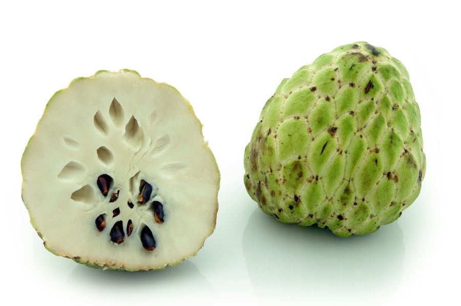Custard-Apple_zps8c1e8279.jpg