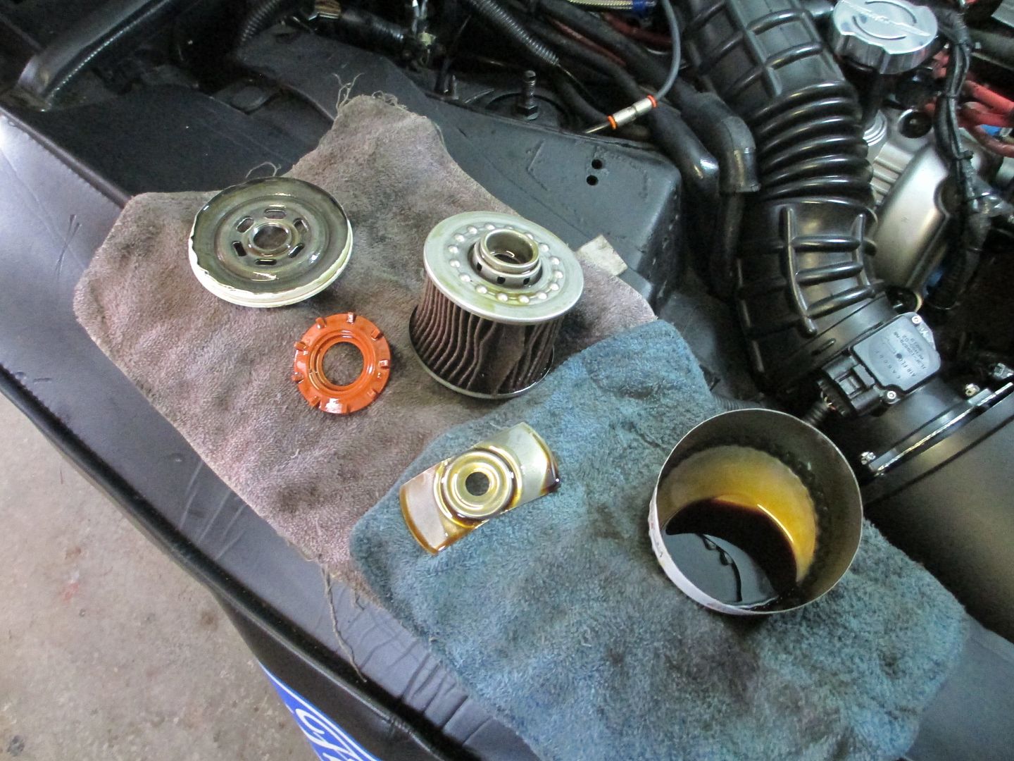 Motorcraft vs Other Brand Oil Filters | TCCoA Forums