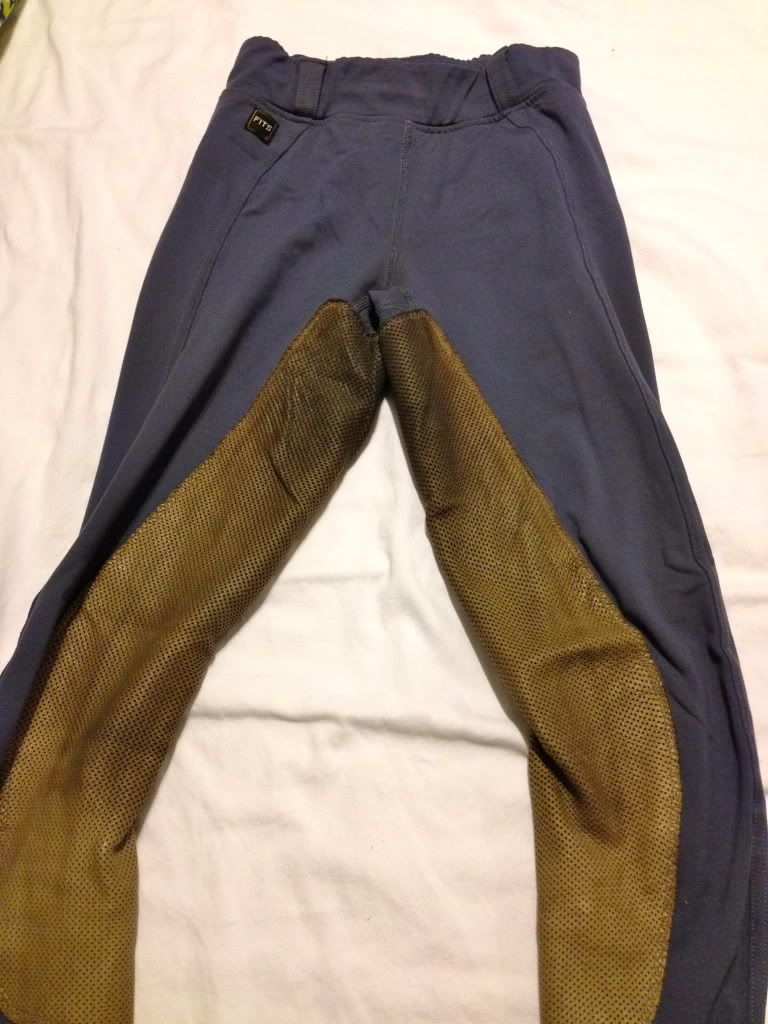 fits breeches