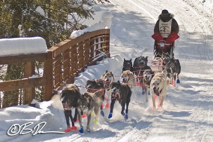 2011 John Beargrease