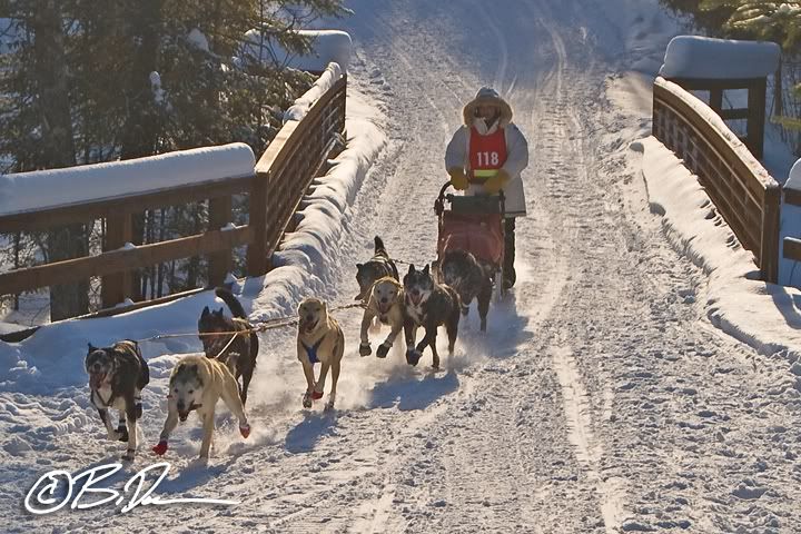 2011 John Beargrease