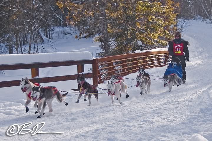 2011 John Beargrease