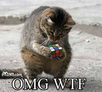 OmgWtf.jpg