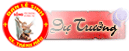 Dự Trưởng Dự Trưởng