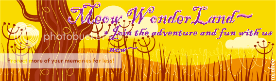 * Meow WonderLand * banner